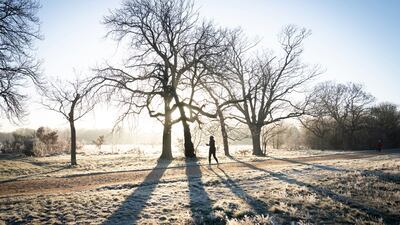 A jogger runs through a frost-covered landscape in Wanstead Park in north-east London on Thursday, after a night of low temperatures in the capital. AP