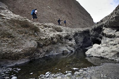 The gemstone was sourced from Fujairah's Al Siji area. Photo: WAM