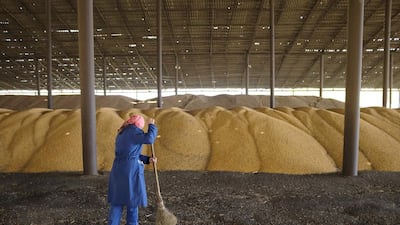 An employee works at a warehouse during corn harvesting. High corn prices on the global market are keeping up the interest of Russia’s agricultural producers in the export of their products. Eduard Korniyenko / Reuters