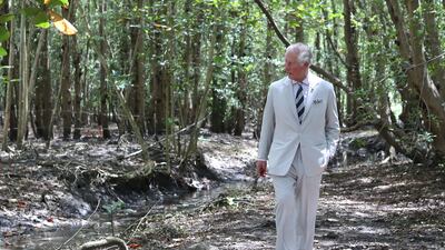 Britain's Prince Charles, the Prince of Wales, is a longstanding advocate of sustainability. Getty Images