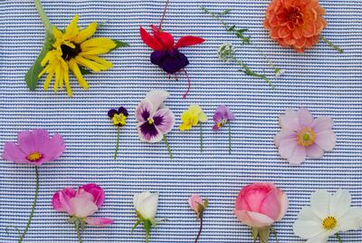 Looking into your wardrobe with a designer’s eye will help you find what out you’re drawn to, but when it comes to colour, nature is the ultimate artist. Getty