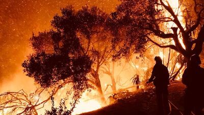 Firefighters knock down flames as they advance on homes atop Shepherd Mesa Road in Carpinteria, California. Mike Eliason / Santa Barbara County Fire Department via AP