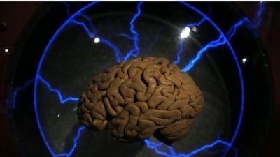 It is likely that one day we will know much more about how economies work by understanding better the physical structures that underlie brain function. AFP