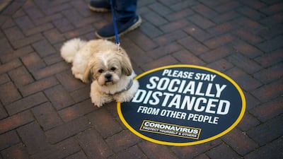 The UK has mostly relaxed its Covid restrictions. Getty Images