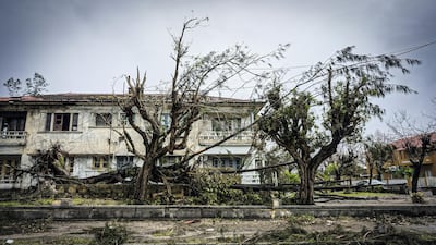 Fallen trees and downed power lines sit on the side of the road in Beira, Mozambique, March 22, 2019. Jack Moore / The National