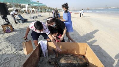 The animals had been cleared for release by marine biologists at the Dubai Turtle Rehabilitation Programme, following a lengthy recovery period, during which they received regular check-ups and medical care where necessary