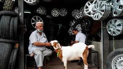 A man feeds a goat at his auto-parts shop in the old quarter of New Delhi. AFP