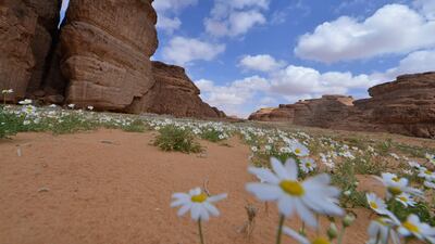 A partial view of the Sharaan Nature Reserve near the town of al-Ula in northwestern Saudi Arabia. AFP