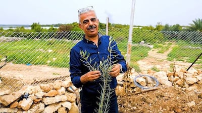 Treedom for Palestine has worked in tandem with Abbas Milhem and the Palestinian Farmers Union. All photos: Photo: Palestinian Farmers Union