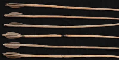 Wooden arrows recovered from the burial site of Princess Noub-Hotep. The weapons' imprint matches wear and tear found on the archer's forearm and hand bones. Photo: Eman Shawky