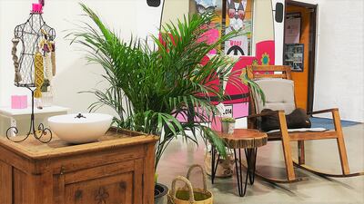 The owners also own Doggy Be, which has been importing and distributing pet accessories since November 2014. Courtesy Doggy Be Collective