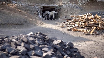 Donkeys stand at the entrance of a coal mine in Choa Saidan Shah, Punjab. The donkeys make around 20 trips per day carrying sacks weighing about 20kg each. Sara Farid / Reuters
