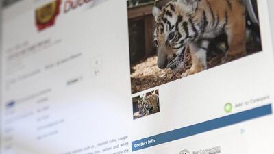 A screen grab displaying an online advertisment from one of several Dubai-based websites offering exotic animals for sale as pets. Animals advertised include jaguar, cheetah, lion and tiger cubs. Antonie Robertson / The National