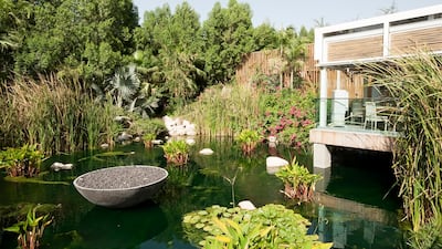 The Farm at Al Barari will be welcoming customers as usual.