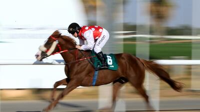 Sam Hitchcott rides Callateral to victory for trainer Ernst Oertel in the Al Khobaisi, the featured handicap on Thursday at Al Ain Racecourse. Ravindranath K / The National