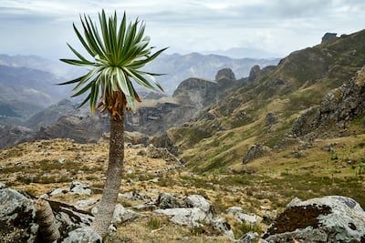 Despite the high altitudes, hiking in Lalibela is surprisingly easy. Photo: Stuart Butler