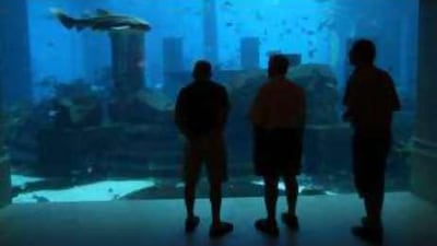 The US$1.5 billion ocean-themed resort situated on the Palm Jumeirah island contains 1,539 rooms and boasts a water amusement park.