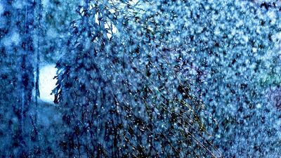 Peace With Nature Photo #5 1.5kQ8. Courtesy Mondo Gallery