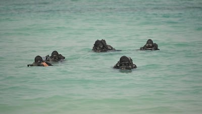 The manoeuvres are also taking place in the Sea of Oman. Saudi Press Agency / Handout via Reuters