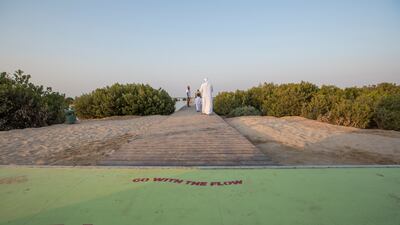 The boardwalk takes visitors out over the water with great views of the mangroves