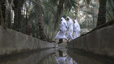 Environment Agency Abu Dhabi says irrigating Abu Dhabi’s plants, gardens and farms would exhaust groundwater reservoirs, and treated sewage could be a way to alleviate the stress. Silvia Razgova / The National