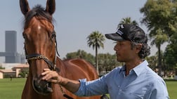 UAE champion trainer Bhupat Seemar knows what it's like to taste success at the Dubai World Cup. Antonie Robertson / The National