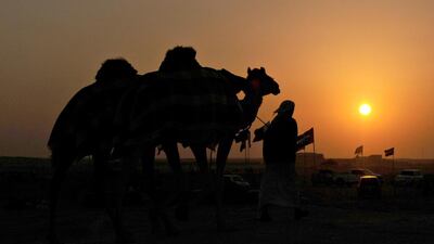 Traditional events such as the Al Dhfra festival need to be promoted. Delores Johnson / The National