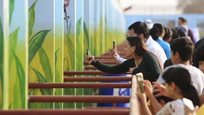 Visitors scramble to take photos of the various animals at the newly opened Rak Zoo in Ras Al Khaimah. Sarah Dea / The National