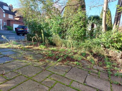 Weeds in the driveway of the home. Paul Peachey / The National