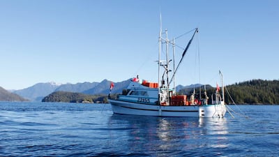 The trawler Hideaway II is seen near Tofino, in British Columbia, Canada, on January 24, 2014 as it searches for geoduck clams. The shell of the clam ranges from 15 centimetres (5.9 in) to over 20 centimetres (7.9 in) in length, but the extremely long siphons make the clam itself much longer than this. Clement Sabourin / AFP