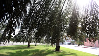 The Al Zaab neighborhood in Abu Dhabi. Sammy Dallal / The National