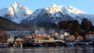Bears outnumber people by eight is to one in the Alaskan city of Sitka. Getty Images