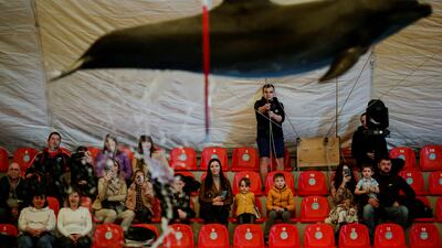 Ukrainian families, who have fled Kherson amid the Russian invasion, watch a dolphin show at a hotel in Odesa, Ukraine. Reuters