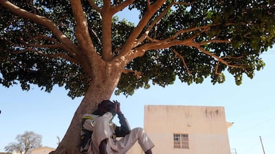A man whose son is among those who were kidnapped by gunmen sit under a tree at the Government Science Secondary school in Kankara, northwestern Katsina State, Nigeria. AFP Photo