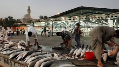 Workers cut shark fins at a fish market in Dubai. AP