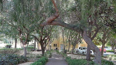 Maroun Farah said the greenery helps him and his family to exercise and unwind. Pawan Singh / The National