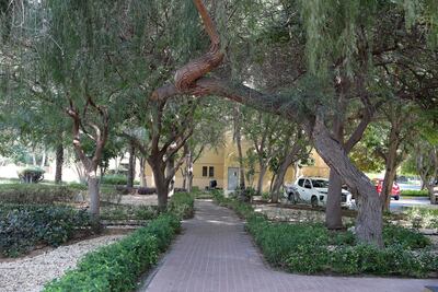 The lush greenery of the area is a big draw. Pawan Singh / The National