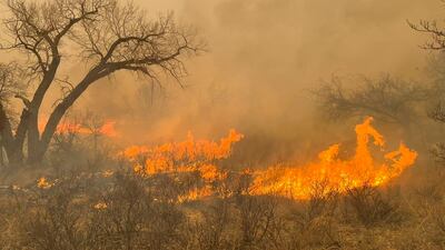Wildfire rages through Texas. EPA