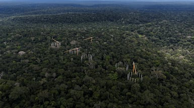 Rings formed by towers from the Amazon Face research project, where scientists pump carbon dioxide into the rainforest canopy to simulate future atmospheric conditions and study long-term climate effects, in Manaus, Brazil. Reuters