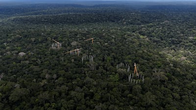 Rings formed by towers from the Amazon Face research project, where scientists pump carbon dioxide into the rainforest canopy to simulate future atmospheric conditions and study long-term climate effects, in Manaus, Brazil. Reuters