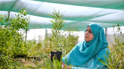 Dr Henda Al Mahmoudi is a Tunisian scientist working at the International Centre for Biosaline Agricultue. (Victor Besa for The National)