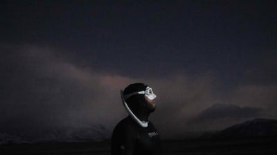 His aim was simply to watch the majestic creatures