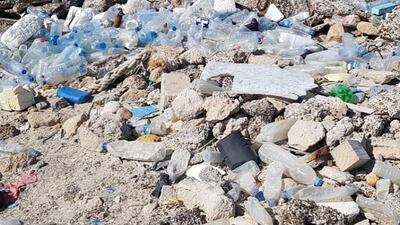 Plastics clog a beach in Umm Al Quwain. Nic Muhl