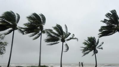Tourists are seen standing in high winds among palm trees in Port Douglas, Australia The cyclone crossed the coast of Cooktown overnight with winds reaching nearly 300km/h and was downgraded from a category five to category one. Ian Hitchcock / Getty Images