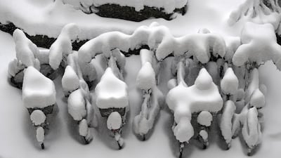 Cars and bicycles are snow-covered after heavy snowfall in Zurich, Switzerland. EPA