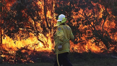 Firefighters battle bushfires in Angourie, northern New South Wales, Australia. AP.