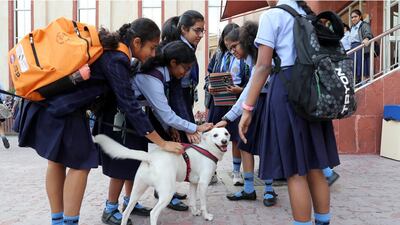 Grade 10 pupils of the Indian High School in Dubai pet a dog before their English board exam on Wednesday. Pawan Singh / The National