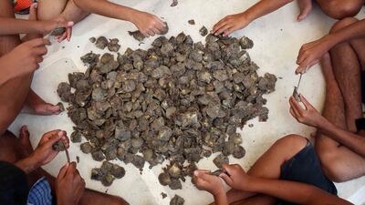 Once the cornerstone of the Arabian Gulf’s economy, the pearl industry thrived in the 19th Century before the discovery of oil.