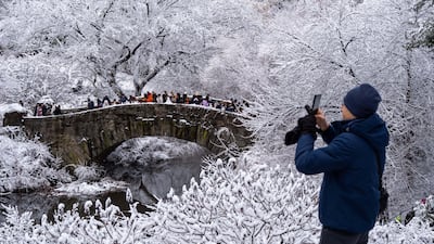 Snow turns New York's Central Park into a winter wonderland. AP Photo