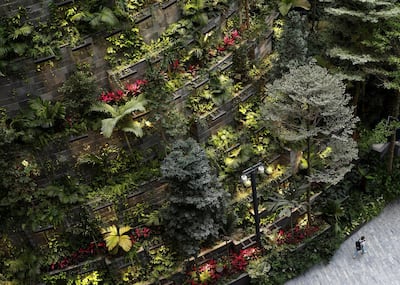 A section of the 4-storey plant display inside Jewel Changi Airport in Singapore. Reuters